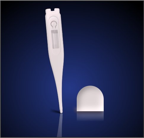 Thermometer cap duo.jpg